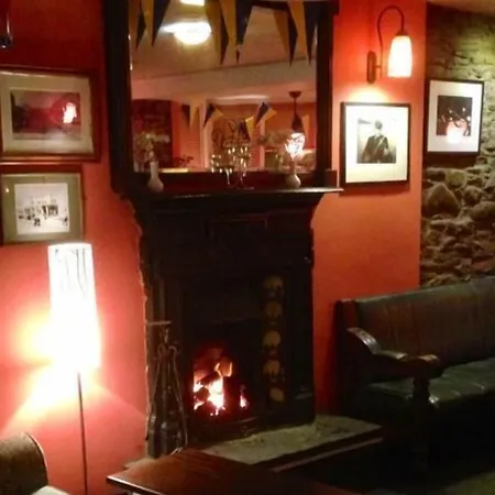 Myles Creek 3* Kilkee