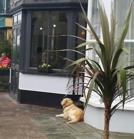 Гостевой дом Myles Creek Килки