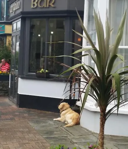 게스트하우스 Myles Creek 킬키